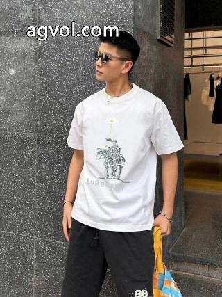 BURBERRY半袖Tシャツブランド スニーカー 激安素敵  完売必至 王道コンビ_0_1