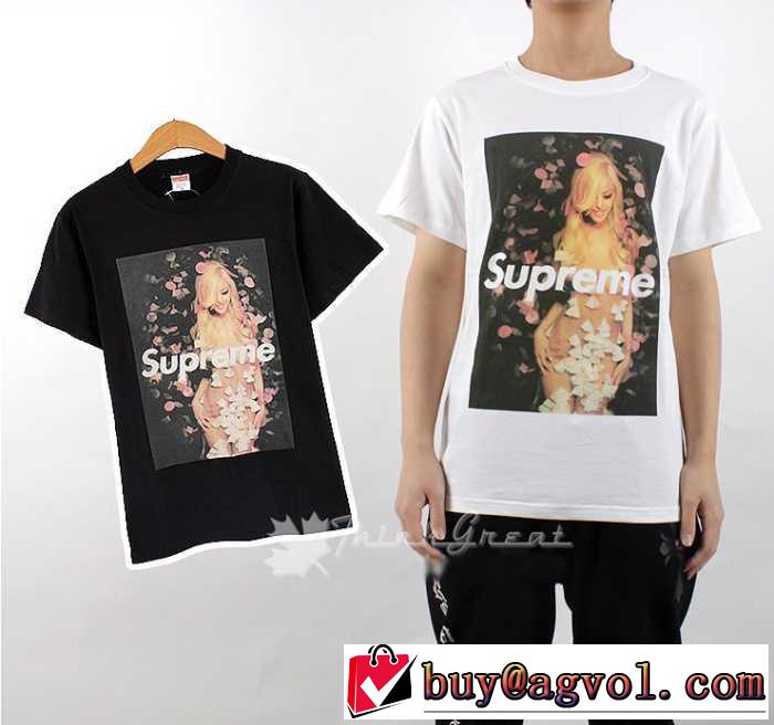 新作登場 2014春夏 supreme シュプリーム 半袖 tシャツ2色可選