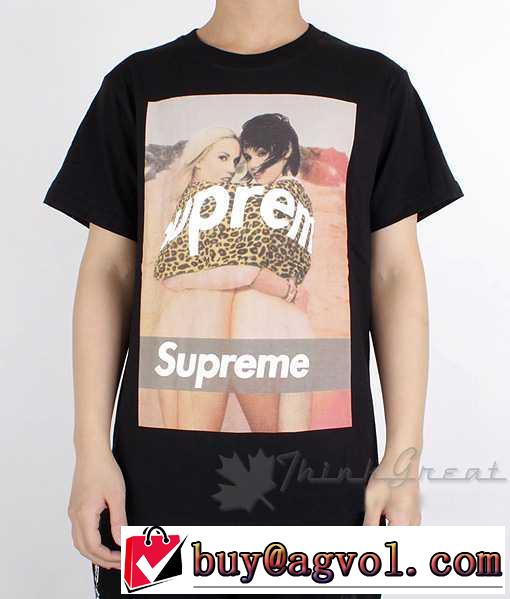 2014春夏 supreme シュプリーム 完売品！半袖 tシャツ2色可選