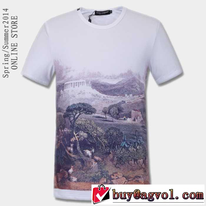 抜群の雰囲気が作れる!2014春夏新作 dolce&gabbana ドルチェ＆ガッバーナ 半袖tシャツ