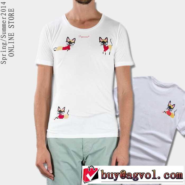 2014 dsquared2 ディースクエアード半袖tシャツ