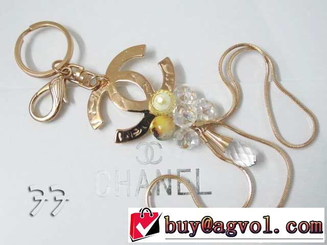 新入荷2014春夏 コピー バック用小物