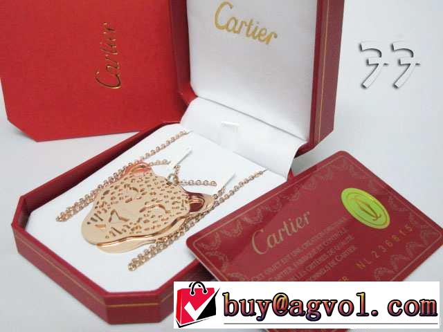 抜群の雰囲気が作れる! 2014春夏 cartier カルティエ ネックレス、ペンダントトップ、チョーカー