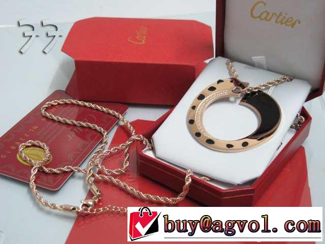 希少 2014春夏 cartier カルティエ ネックレス、ペンダントトップ、チョーカー