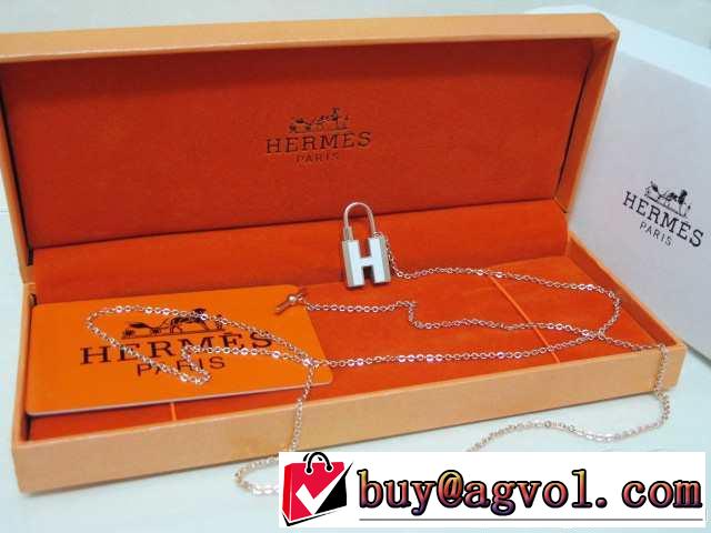 ～希少 2014春夏 hermes エルメス ネックレス、ペンダントトップ、チョーカー