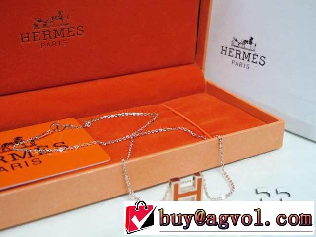 美品！ 2014春夏 hermes エルメス ネックレス、ペンダントトップ、チョーカー