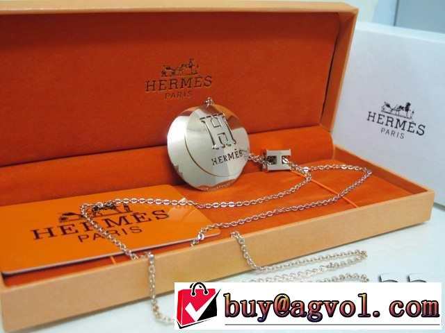 入手困難 2014春夏 hermes エルメス ネックレス、ペンダントトップ、チョーカー