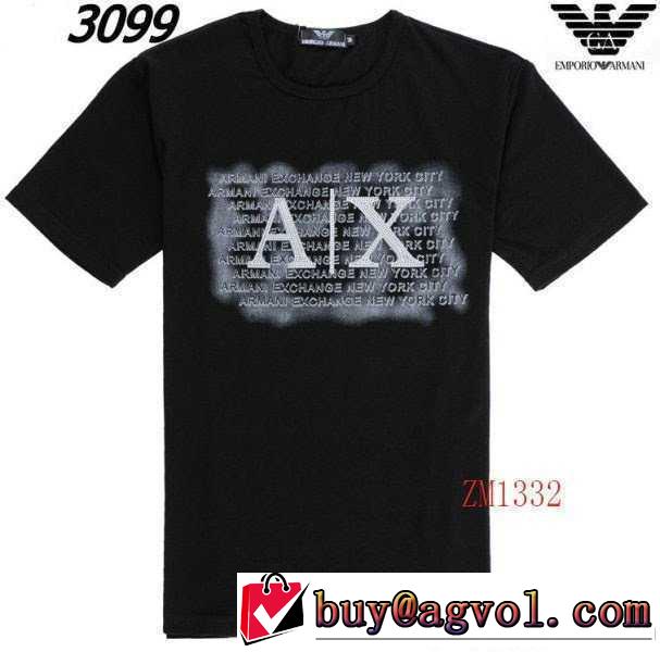 希少 2014 armani アルマーニ半袖tシャ 