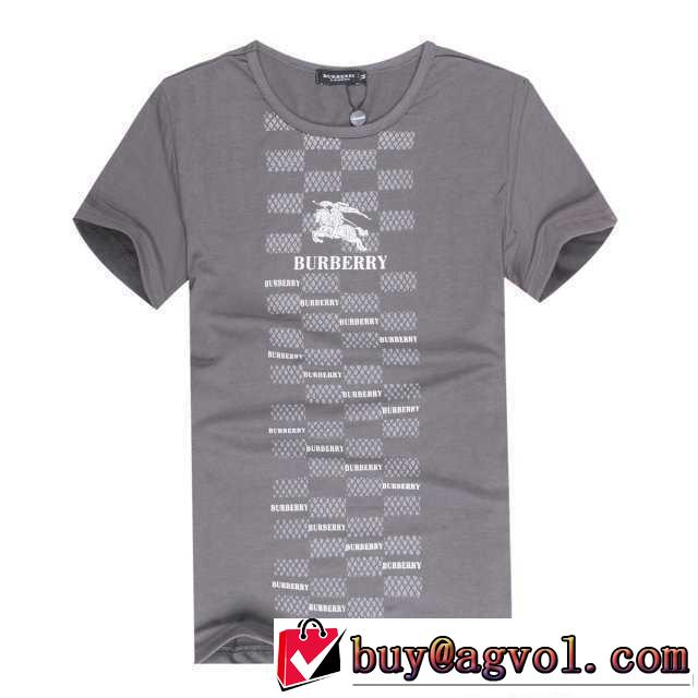 2014 夏コーデ burberry バーバリー半袖tシャ 