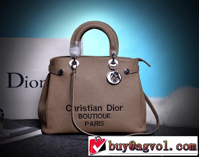 DIOR ディオール 2014 上質 活躍のハンドバッグ 隠しポケット付 9691