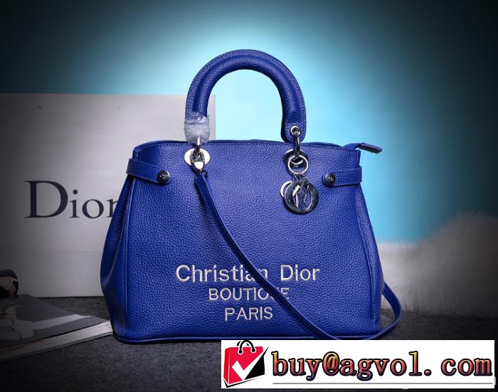 DIOR ディオール 2014 売れ筋のいい ハンドバッグ ファスナーポケット付 9691