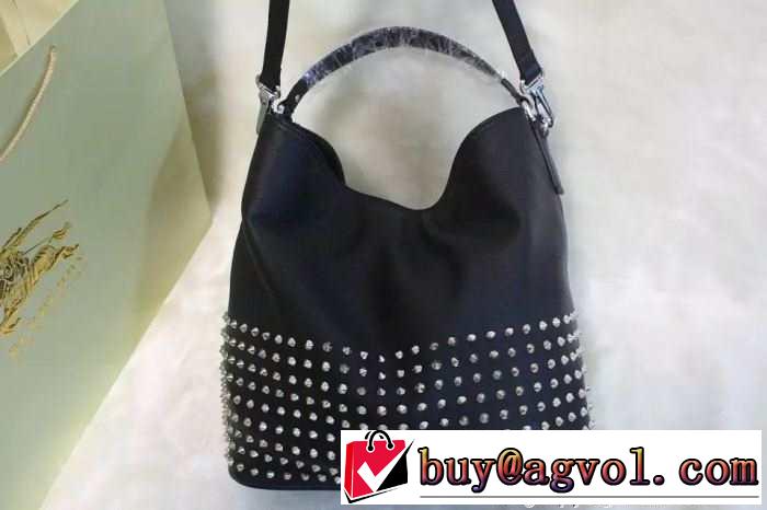 2015 超人気美品◆ burberry バーバリー レディースバッグ 500423
