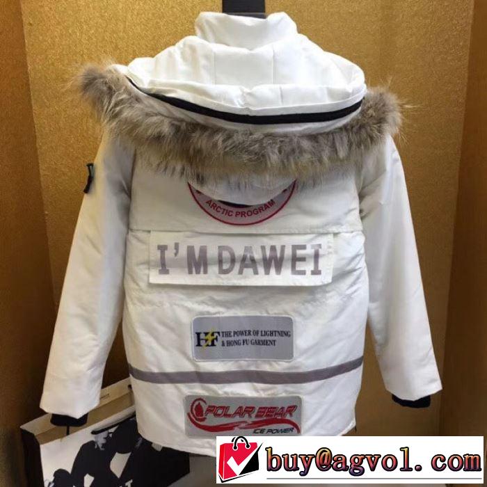 寒い季節トレンド上品 ダウンジャケット カナダグース 2019秋冬トレンドアイテム Canada Goose  2色可選