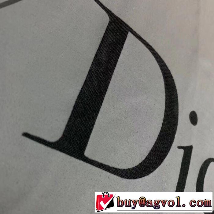 《2019年》今、注目のストリート ディオール 爽やかな色合い DIOR 2色可選 半袖Tシャツ 派手にはなりすぎず