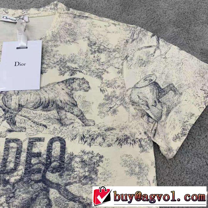 2019春夏トレンドアイテム 最も目立ったブランド新品 DIOR ディオール 半袖Tシャツ
