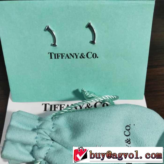 2色可選 トレンド感があって涼しげ ティファニー Tiffany&Co ファッションにトレンド 2019年最新ファッション ピアス