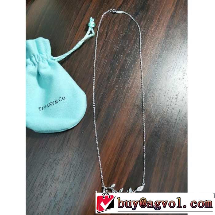 抜け感のあるスタイルが完成 ティファニー Tiffany&Co ネックレス 2019トレンド感満載なアイテム