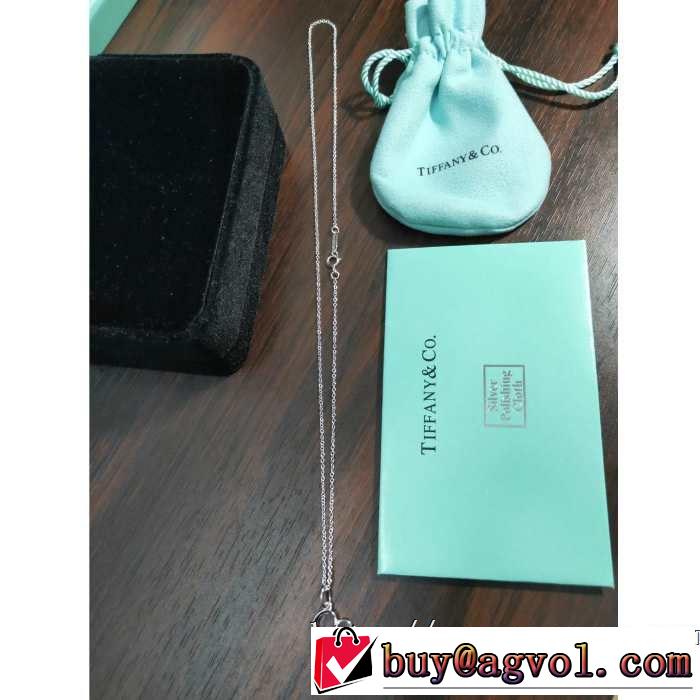ネックレス 春夏アイテムから新たに登場！ 人気のブランドのアイテム2019 ティファニー Tiffany&Co