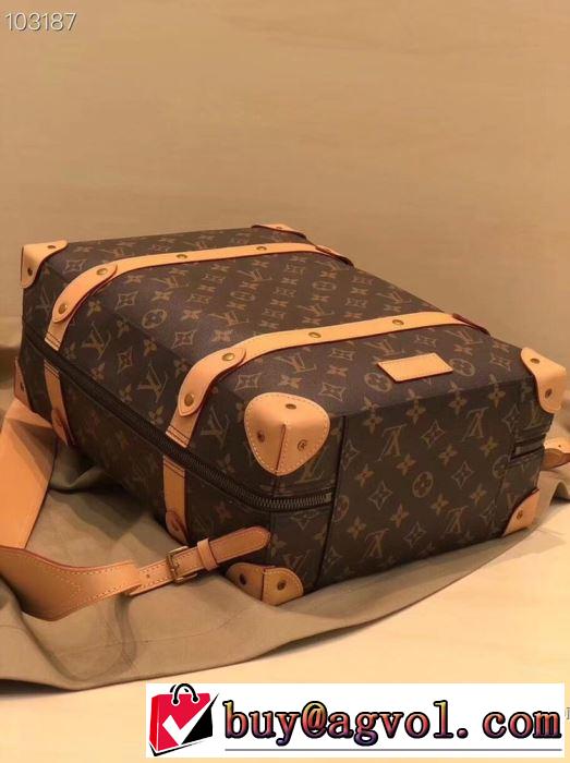 春夏のトレンドアイテム ルイ ヴィトン LOUIS VUITTON  上品な涼やかさある印象に レディースバッグ 大胆なデザイン