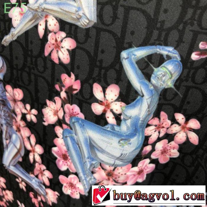 鮮度アップブランド最新 ディオール DIOR 2019春夏のトレンド新商品 プルオーバーパーカー  鮮度が手に入る
