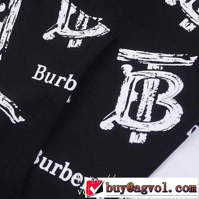 とにかく完璧ブランド新作 2019秋冬人気色おすすめ バーバリー BURBERRY プルオーバーパーカー 2色可選