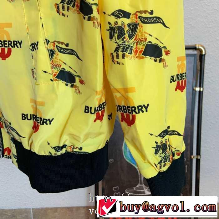 秋冬ファッションコーディネート 2019秋冬人気色おすすめ バーバリー BURBERRY ブルゾン