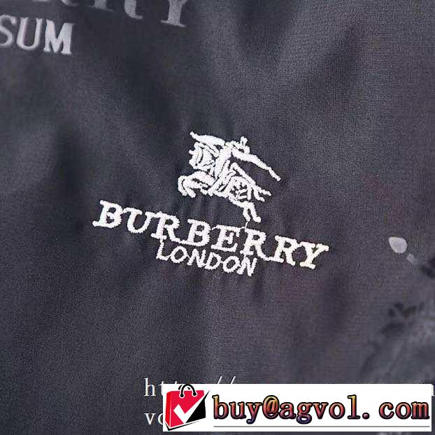 現在流行中のおすすめ人気 先取り 2019/2020秋冬ファッション バーバリー BURBERRY ブルゾン 2色可選