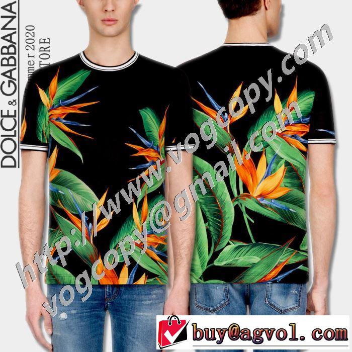 2色可選 確定となる上品 半袖Tシャツ 取り入れやすい ドルチェ＆ガッバーナ Dolce&Gabbana