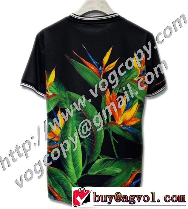 2色可選 確定となる上品 半袖Tシャツ 取り入れやすい ドルチェ＆ガッバーナ Dolce&Gabbana