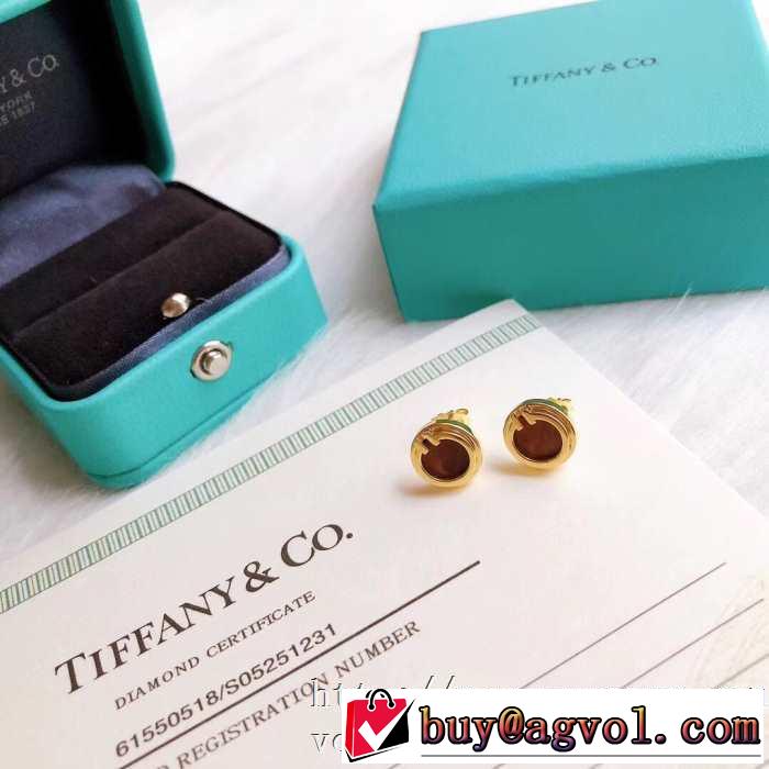 価格も嬉しいアイテム ティファニー 20新作です Tiffany&Co ピアス 一目惚れ級に