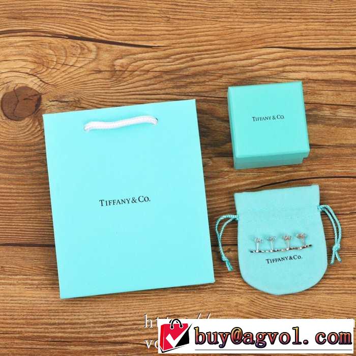 2色可選 2020モデル ティファニー普段見ないデザインばかり Tiffany&Co ピアス確定となる上品