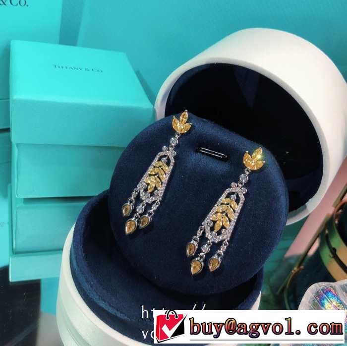 ティファニー使いやすい新品  Tiffany&Co 世界共通のアイテム イヤリング是非ともオススメしたい