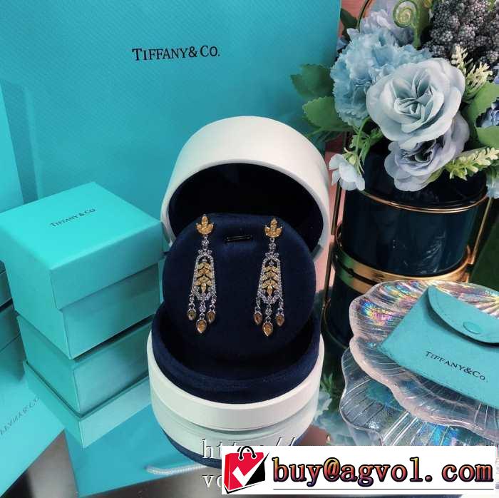 ティファニー使いやすい新品  Tiffany&Co 世界共通のアイテム イヤリング是非ともオススメしたい