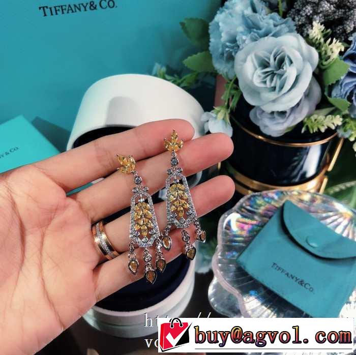ティファニー使いやすい新品  Tiffany&Co 世界共通のアイテム イヤリング是非ともオススメしたい
