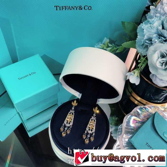 ティファニー使いやすい新品  Tiffany&Co 世界共通のアイテム イヤリング是非ともオススメしたい