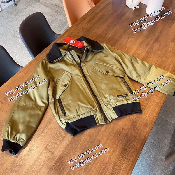 サイズ豊富 2020秋冬 カナダグース Canada Goose ダウンジャケット スーパーコピー 激安 アグレッシブな行動を支える