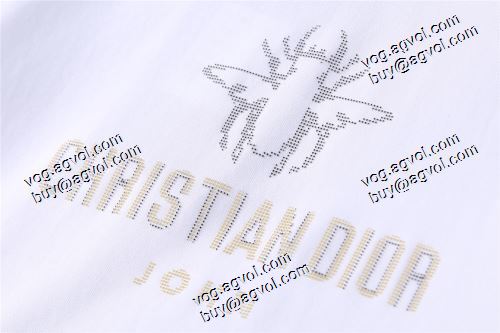  おすすめ/オススメ 3色可選  DIORコピー偽物 長袖 /ロングTシャツ 上品な輝きを放つ形  2020AW ディオールコピー激安  