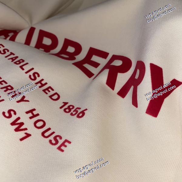 ファッション 人気 バーバリー BURBERRY 2020AW  スタイリッシュな印象 プルオーバーパーカー