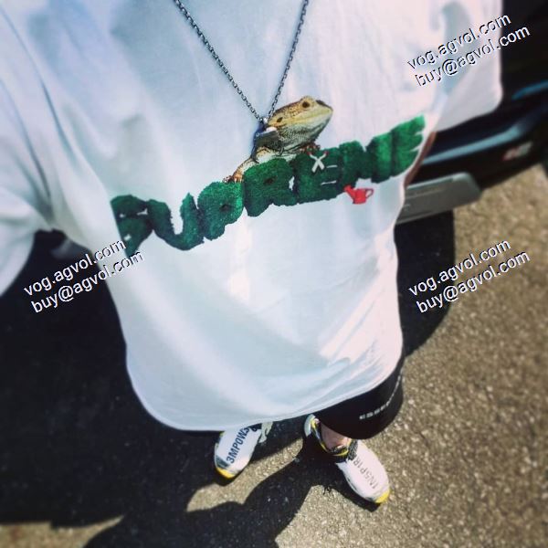 頑丈な素材シュプリームコピー Supreme 20 ss Lizard Teeトカゲ緑植LOGO半袖Tシャツ SUPREMEコピー Tシャツ/半袖 3色可選 2020秋冬新作