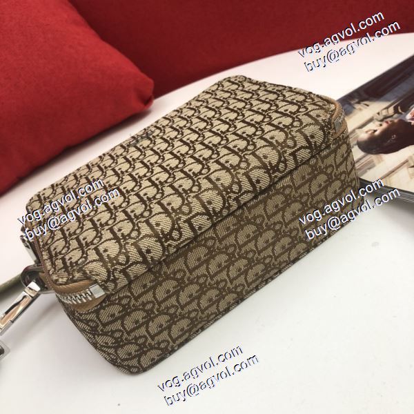 サイズ豊富 レディースバッグ 2020秋冬新作  ディオールコピー絶大な人気を誇る  DIORブランド 偽物 通販 ショルダーバッグ