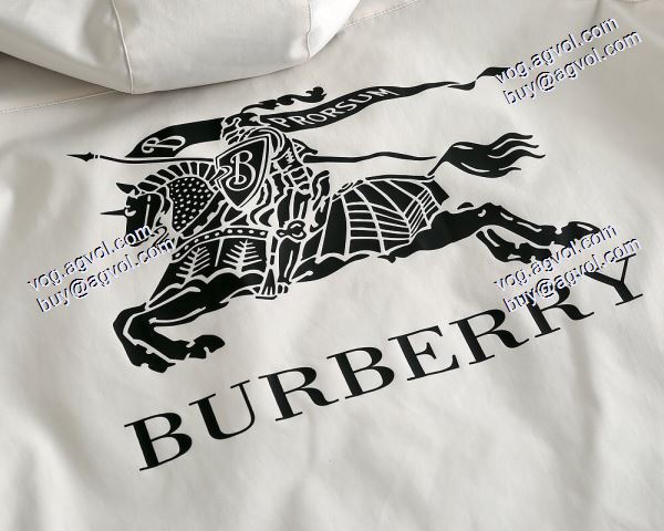 落ち着いた感覚バーバリー売れ筋のいい BURBERRY 3色可選 2020秋冬新作 ブルゾン