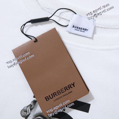 2020AW 3色可選 BURBERRYブランドスーパーコピー プルオーバーパーカー ファション性の高い バーバリー コピー