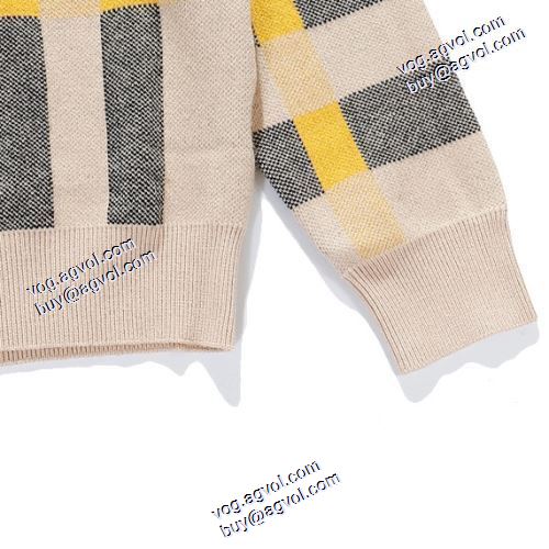 高級感溢れるデザイン プルオーバーパーカー バーバリー コピー 超目玉 BURBERRY コピー 2020AW