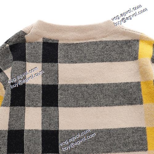 高級感溢れるデザイン プルオーバーパーカー バーバリー コピー 超目玉 BURBERRY コピー 2020AW