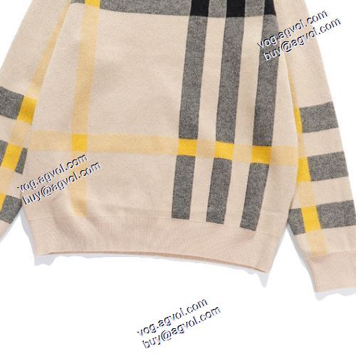 高級感溢れるデザイン プルオーバーパーカー バーバリー コピー 超目玉 BURBERRY コピー 2020AW