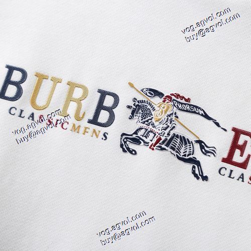絶大な人気を誇る プルオーバーパーカーBURBERRY コピー 2020AW 2色可選 ファション性の高い バーバリー コピー 