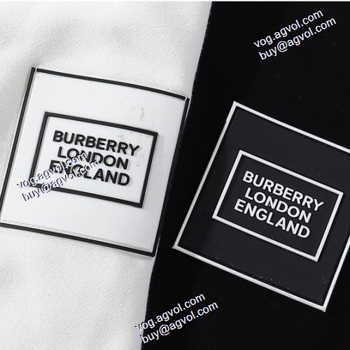 バーバリー偽物ブランド プルオーバーパーカー バーバリー コピー BURBERRY コピー 2020AW 2色可選