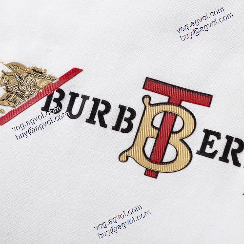 売れ筋のいい BURBERRY コピー 2020AW 2色可選 プルオーバーパーカー  超目玉バーバリー偽物ブランド  