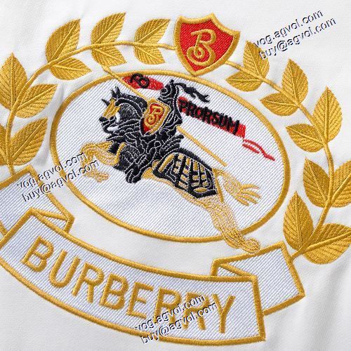 上質 大人気  2020AW 2色可選 バーバリー コピー プルオーバーパーカーBURBERRY偽物ブランド