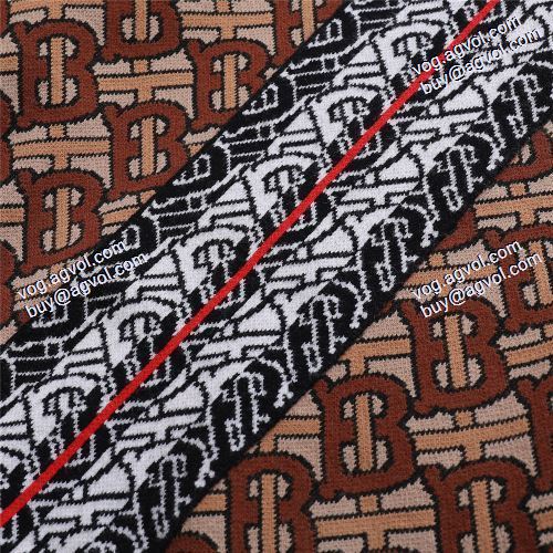 魅力ファッション プルオーバーパーカー 2020AW 高級感ある BURBERRYコピー